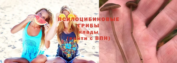 марки lsd Бородино