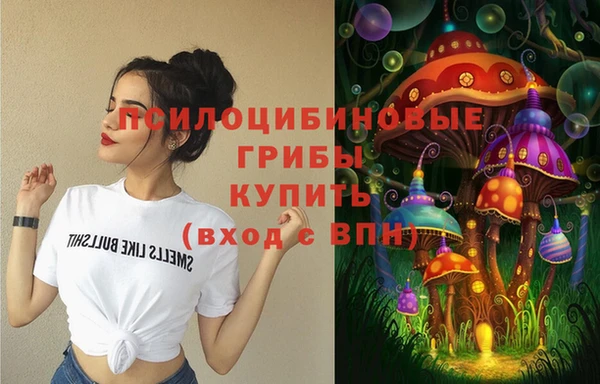 винт Бугульма