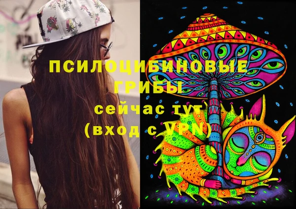 винт Бугульма