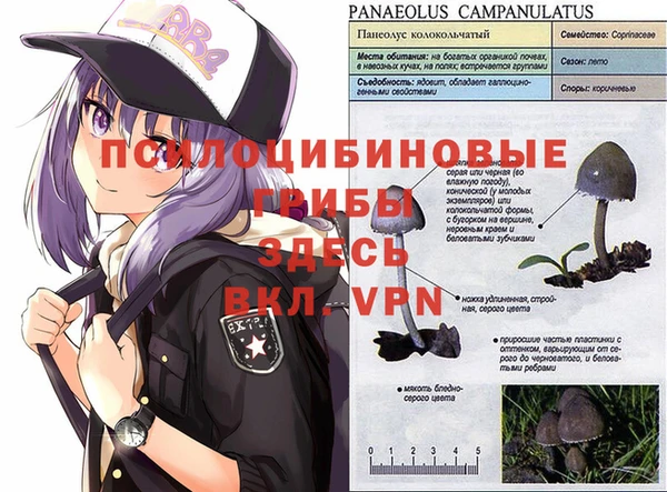 гидра Богородск