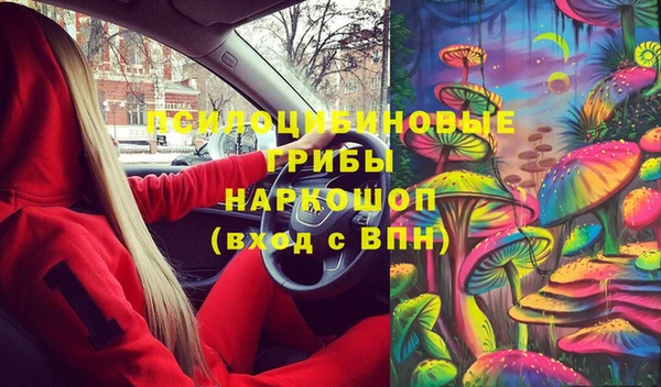 марки lsd Бородино