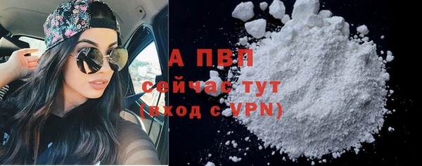 ешки Туринск