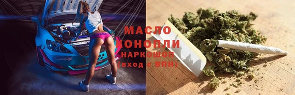 стаф Богданович